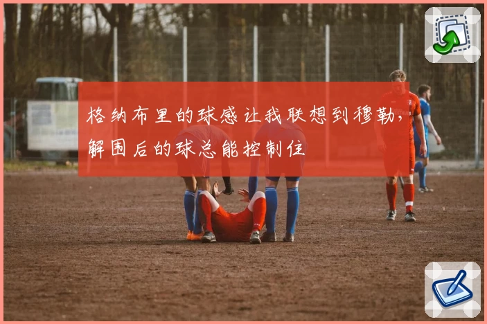 格纳布里的球感让我联想到穆勒，解围后的球总能控制住