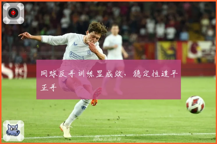 网球反手训练显成效，稳定性追平正手