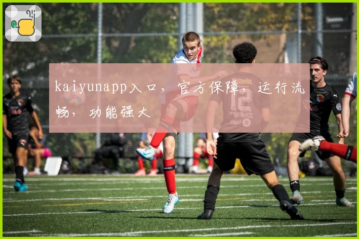 kaiyunapp入口，官方保障，运行流畅，功能强大