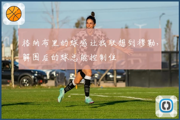 格纳布里的球感让我联想到穆勒，解围后的球总能控制住